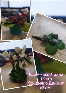 105 и 106  Кожемяко Диана и Даниил